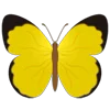🦋 Эмодзи «Butterflies» для Telegram