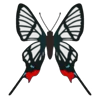 🦋 Эмодзи «Butterflies» для Telegram