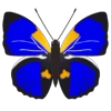 🦋 Эмодзи «Butterflies» для Telegram