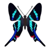 🦋 Эмодзи «Butterflies» для Telegram