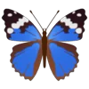 🦋 Эмодзи «Butterflies» для Telegram