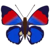 🦋 Эмодзи «Butterflies» для Telegram
