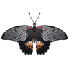 🦋 Эмодзи «Butterflies» для Telegram