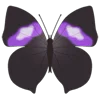 🦋 Эмодзи «Butterflies» для Telegram