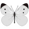 🦋 Эмодзи «Butterflies» для Telegram