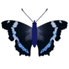 🦋 Эмодзи «Butterflies» для Telegram