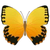 🦋 Эмодзи «Butterflies» для Telegram