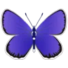 🦋 Эмодзи «Butterflies» для Telegram