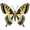 🦋 Эмодзи «Butterflies» для Telegram