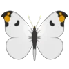 🦋 Эмодзи «Butterflies» для Telegram