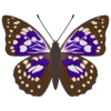 🦋 Эмодзи «Butterflies» для Telegram