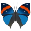 🦋 Эмодзи «Butterflies» для Telegram