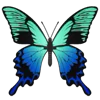 🦋 Эмодзи «Butterflies» для Telegram