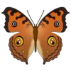 🦋 Эмодзи «Butterflies» для Telegram