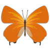 🦋 Эмодзи «Butterflies» для Telegram