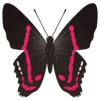 🦋 Эмодзи «Butterflies» для Telegram