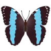 🦋 Эмодзи «Butterflies» для Telegram