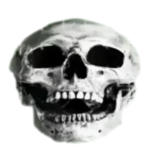 💀 Стикер «Черепки и тролли» для Telegram