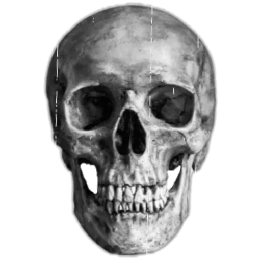 💀 Стикер «Черепки и тролли» для Telegram