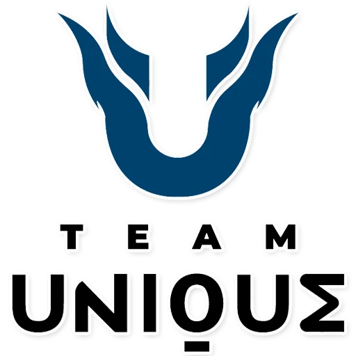 🦄 Стикер «CIS TEAM» для Telegram