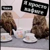 🤩 Эмодзи «Совы» для Telegram