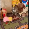 🤩 Эмодзи «Совы» для Telegram