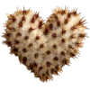 🌵 Эмодзи «Heart» для Telegram
