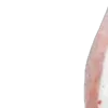 😀 Эмодзи «ㅤ ㅤ݁ ݁ ݁ ⺌݁ ݁» для Telegram