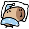😴 Эмодзи «() CAPYBARA» для Telegram