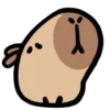 🙂 Эмодзи «() CAPYBARA» для Telegram