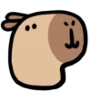 🙂 Эмодзи «() CAPYBARA» для Telegram