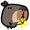 🎇 Эмодзи «() CAPYBARA» для Telegram