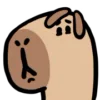 🙁 Эмодзи «() CAPYBARA» для Telegram