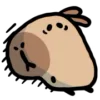 🙁 Эмодзи «() CAPYBARA» для Telegram