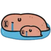 😭 Эмодзи «Capybara ()» для Telegram