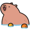 🍊 Эмодзи «Capybara ()» для Telegram