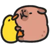 ❤️ Эмодзи «🙂Capybara-2 - капибара» для Telegram