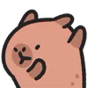 😏 Эмодзи «🙂Capybara-2 - капибара» для Telegram