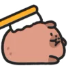 🪥 Эмодзи «🙂Capybara-2 - капибара» для Telegram