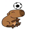 ⚽️ Эмодзи «😵Capybara - капибара» для Telegram