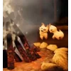 🌟 Эмодзи «🌟 Cat» для Telegram