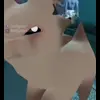 🌟 Эмодзи «🌟 Cat» для Telegram