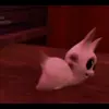 🌟 Эмодзи «🌟 Cat» для Telegram