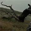 🌫️ Эмодзи «castle core» для Telegram