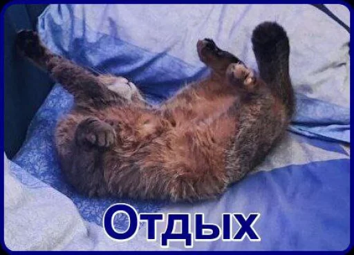 ❤️ Стикер «Забрать можно» для Telegram