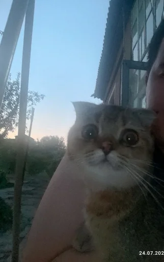 ❤️ Стикер «Забрать можно» для Telegram