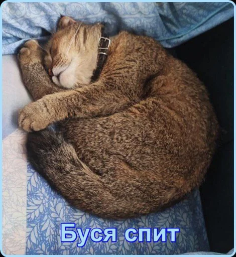 ❤️ Стикер «Забрать можно» для Telegram