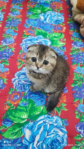 ❤️ Стикер «Забрать можно» для Telegram