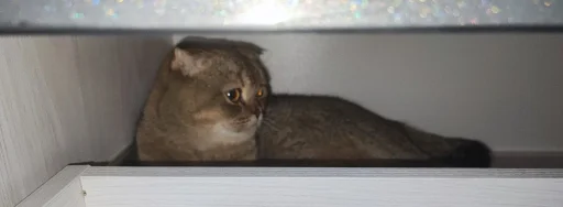❤️ Стикер «Забрать можно» для Telegram