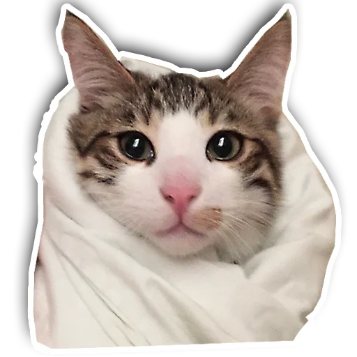 Стикерпак julien для Telegram — скачать